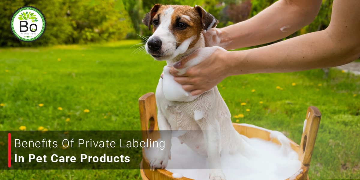 Benefits of Private Labeling in Pet Care Products