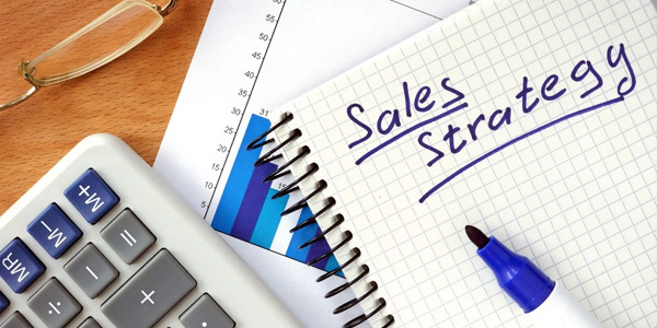 Create A Marketing & Sales Strategy