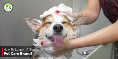 How To Launch A Successful Pet Care Brand