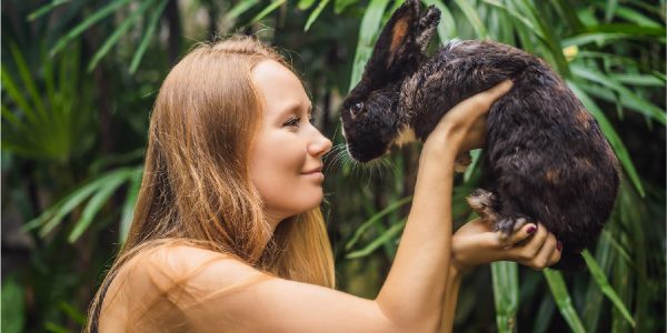 Positive Impact on Animal Welfare by opting vegan beauty products for your brand